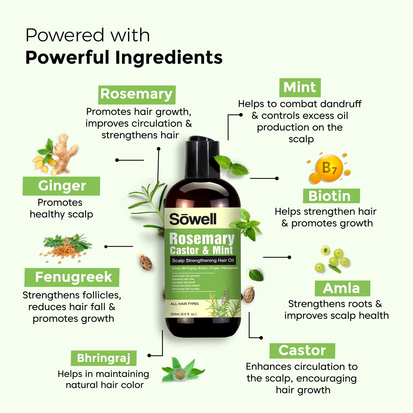 Rosemary Castor Mint Hair Oil 200ml