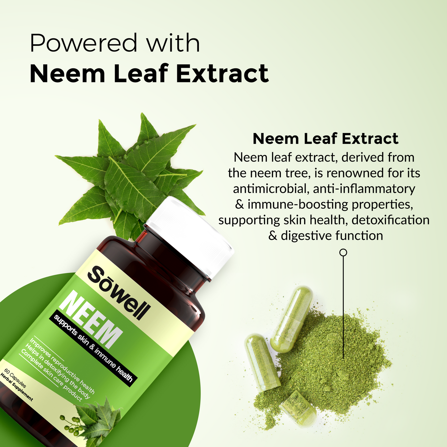 Neem Supplement