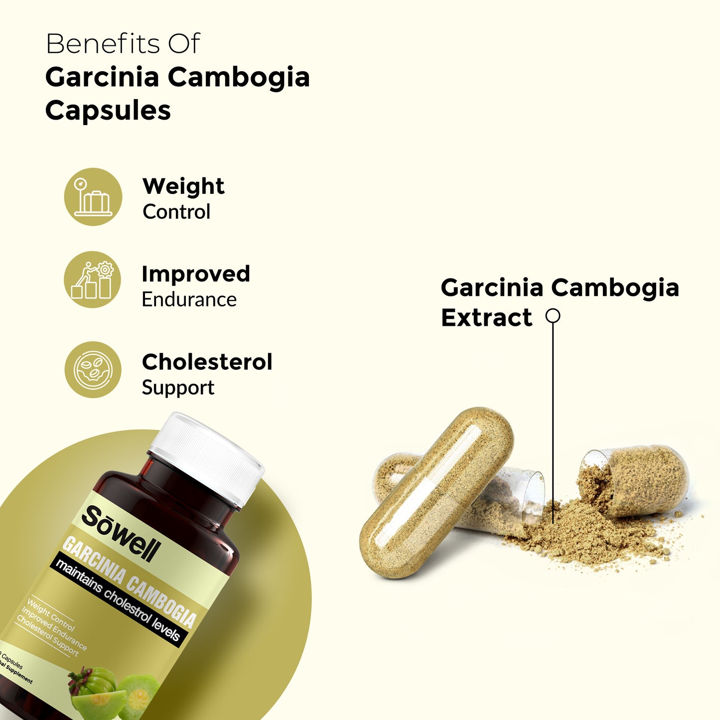 Garcinia Cambogia Supplement