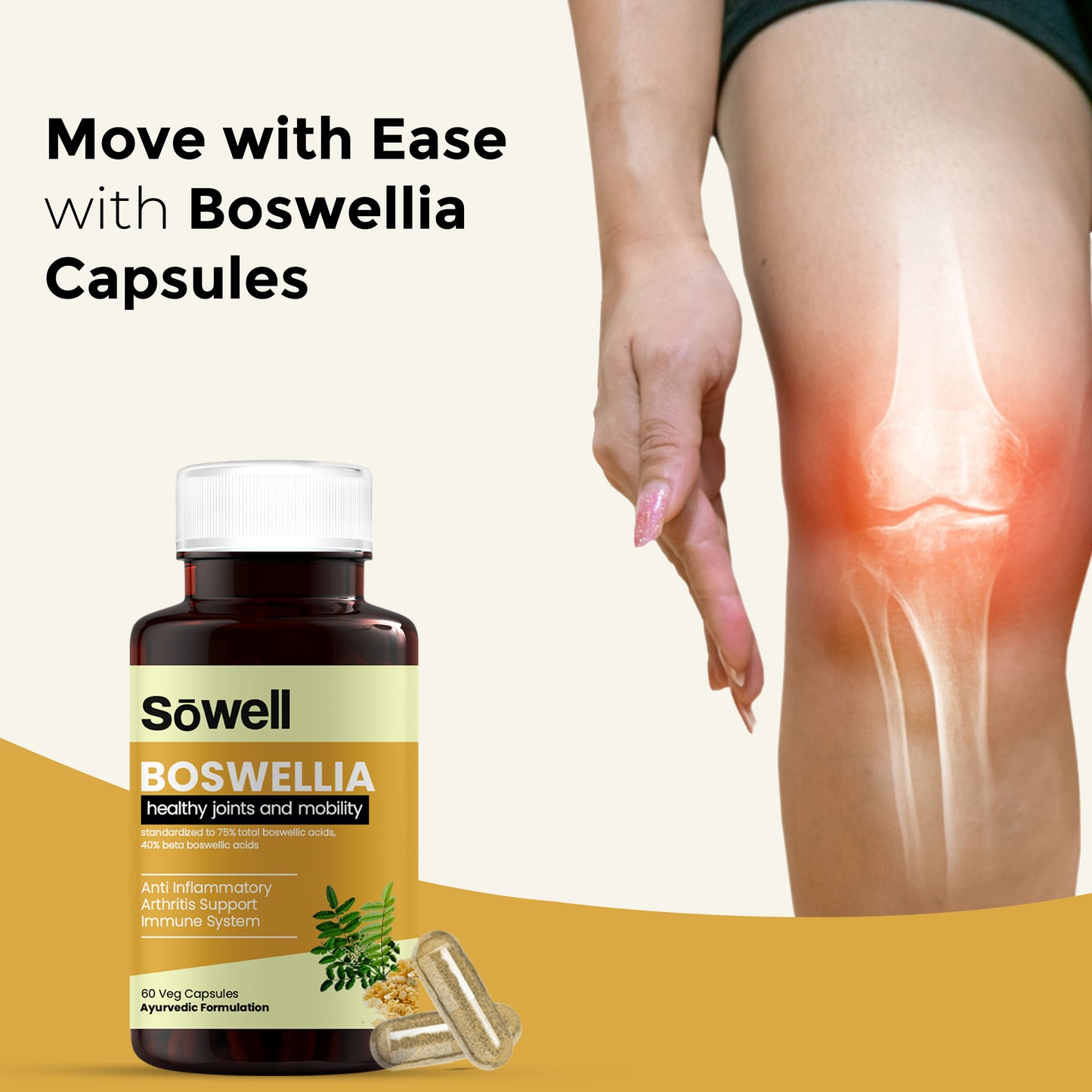 Boswellia Health Joints And Mobility Ayurvedic Capsules