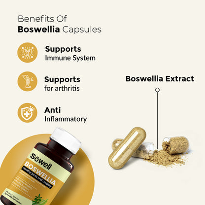 Boswellia Health Joints And Mobility Ayurvedic Capsules