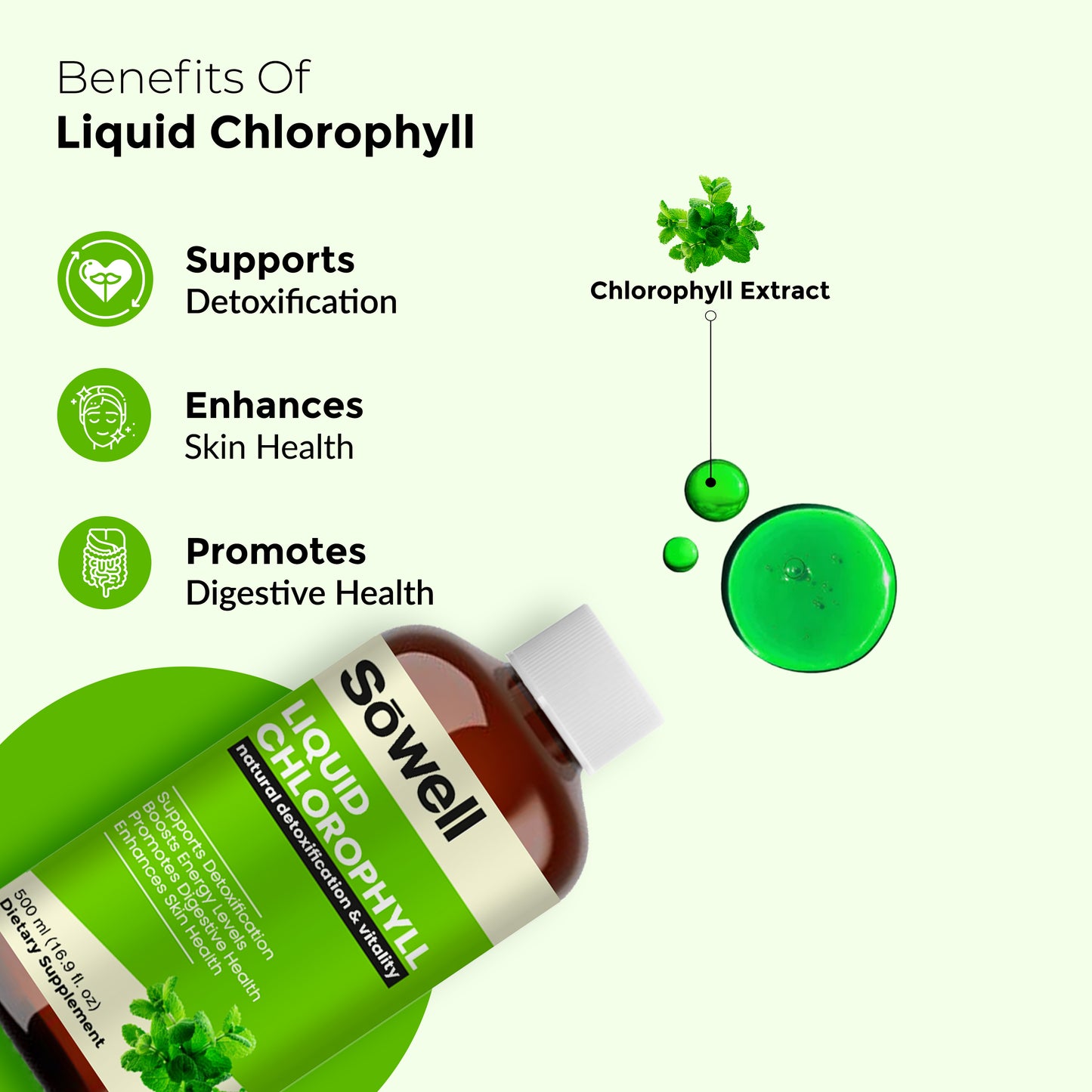 Liquid Chlorophyll 500ml