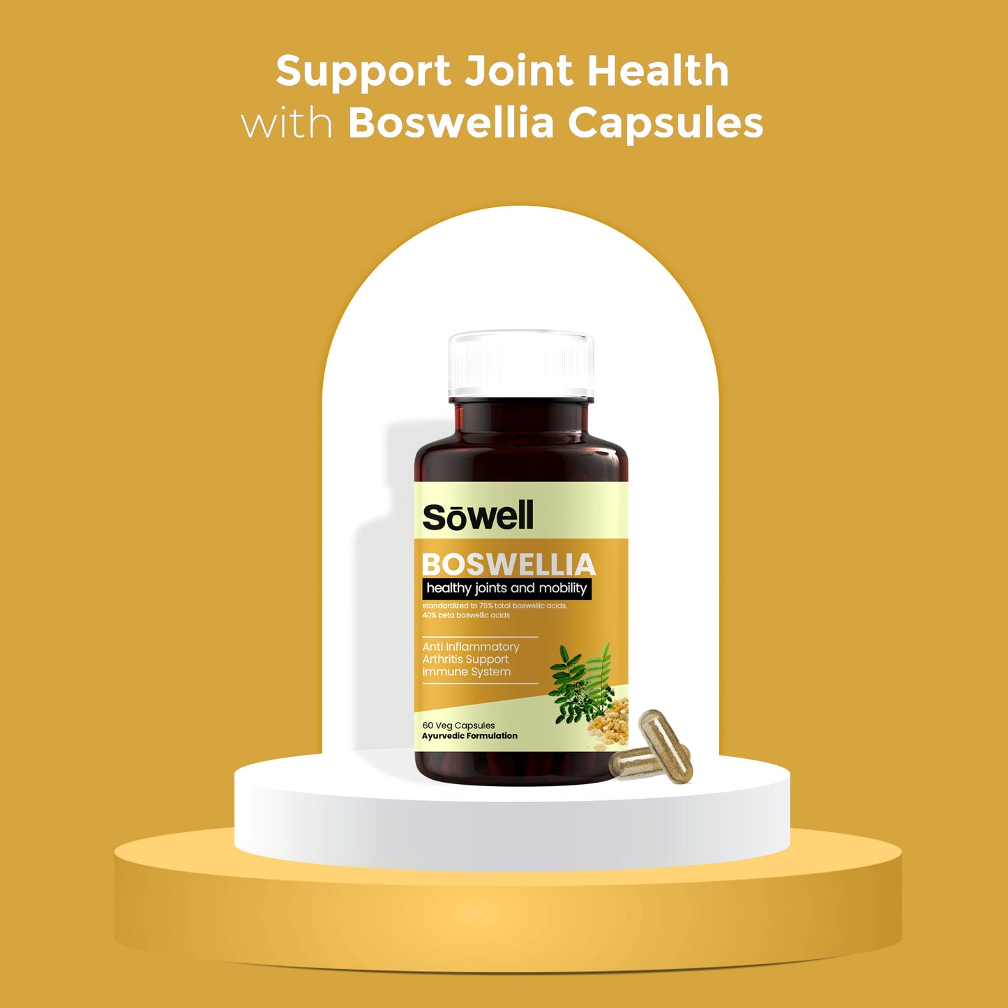 Boswellia Health Joints And Mobility Ayurvedic Capsules