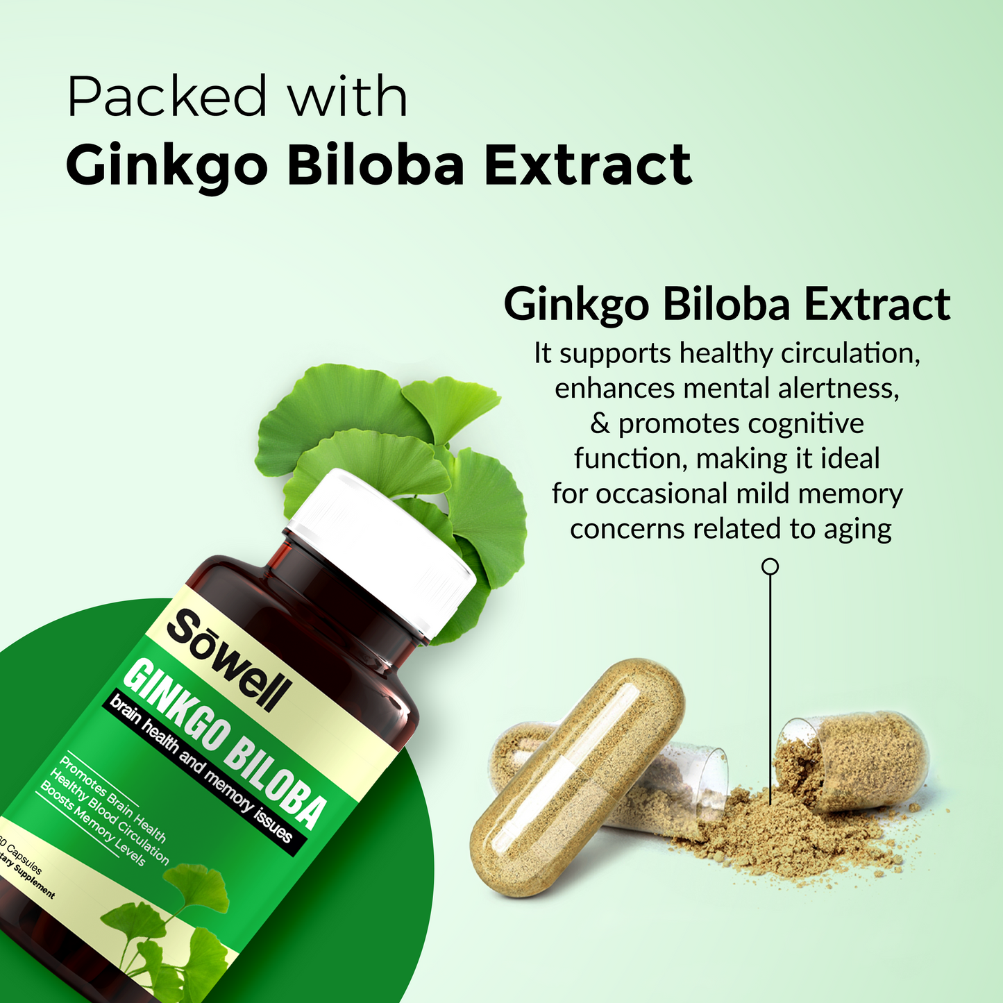 Ginkgo Biloba Supplement