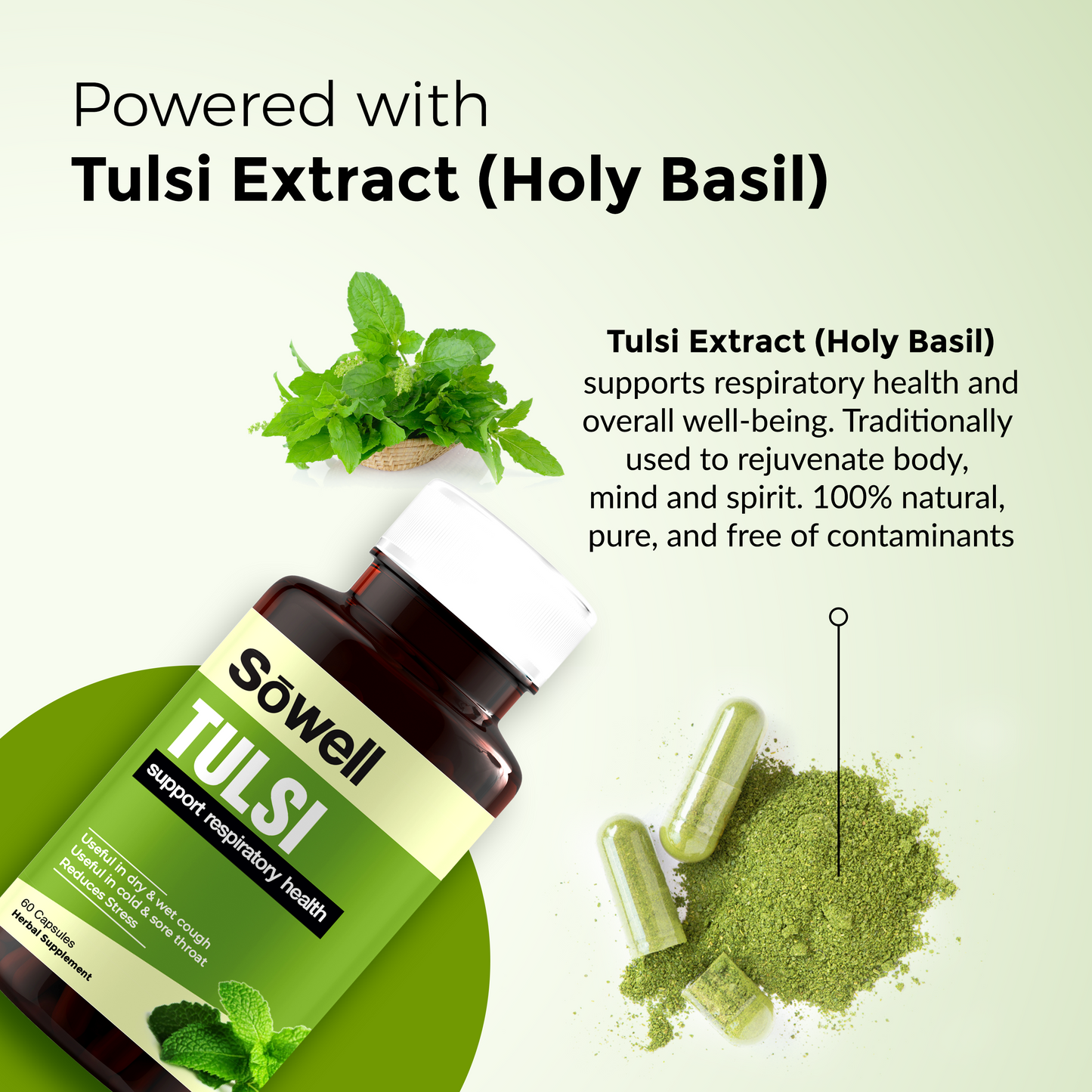 Tulsi Herbal Supplement