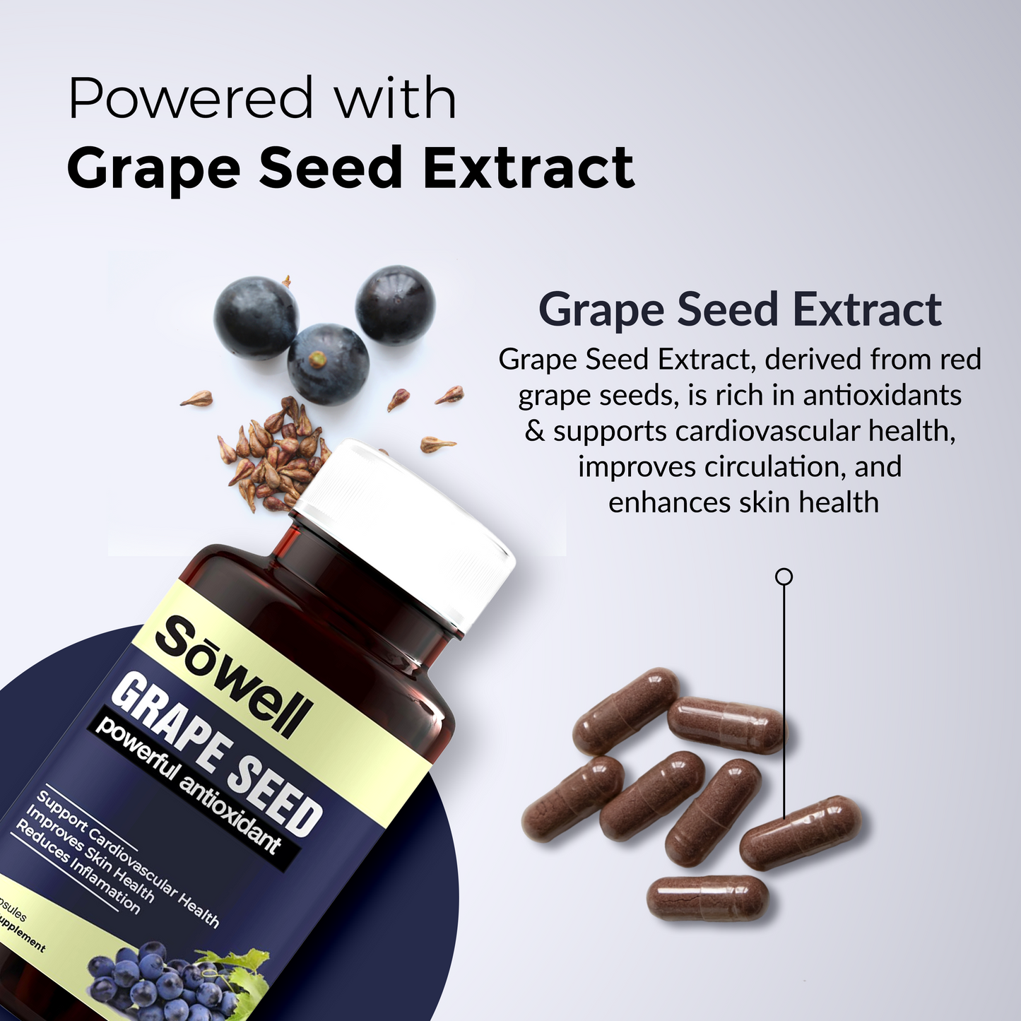 Grape Seed Supplement