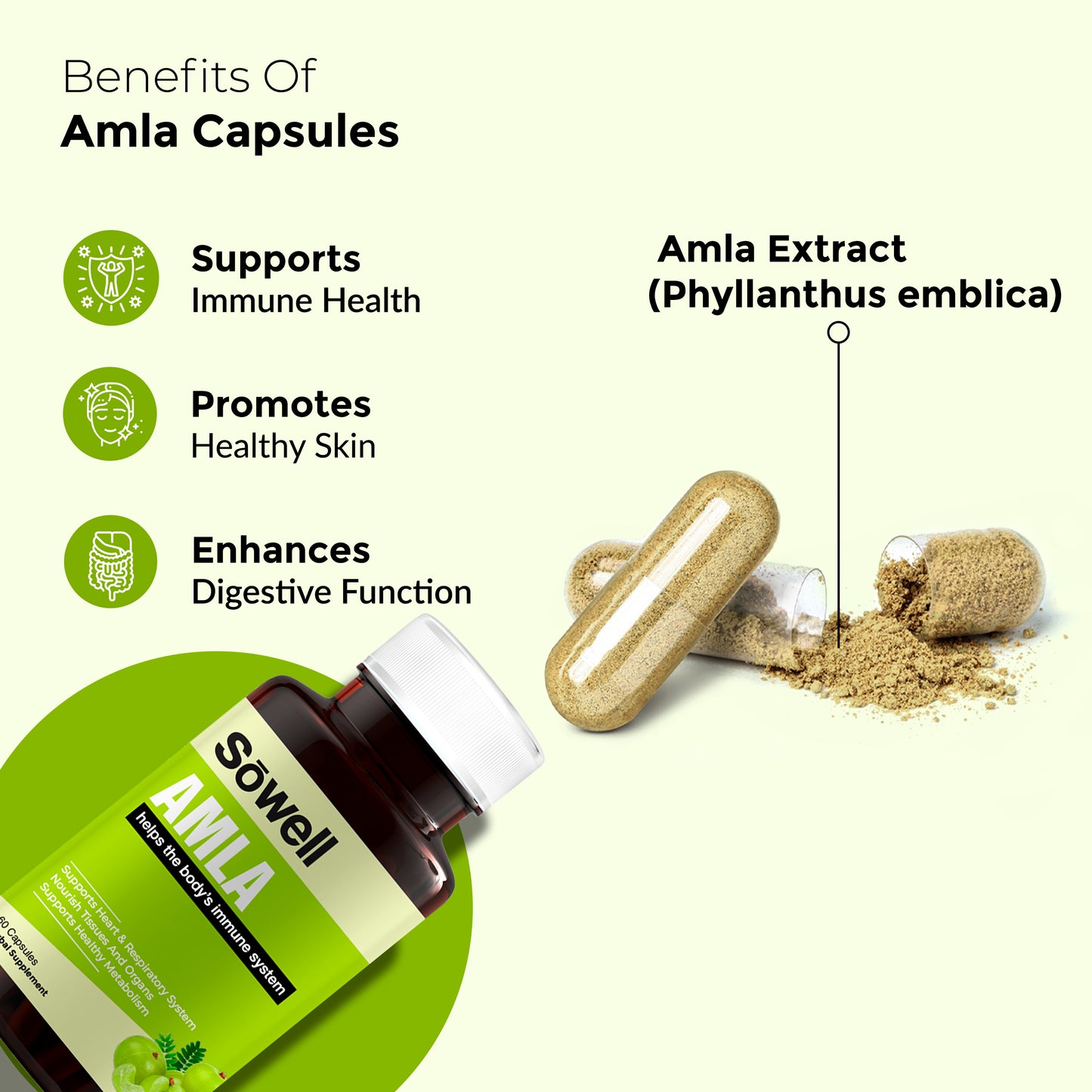 Amla Supplement