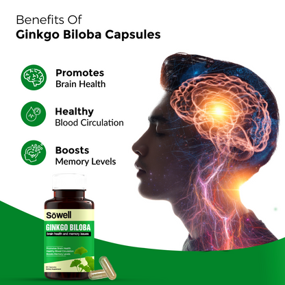 Ginkgo Biloba Supplement