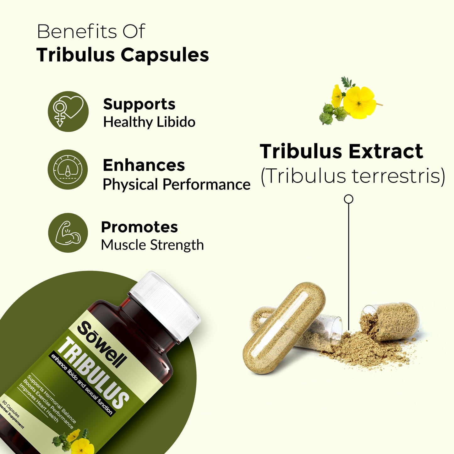 Tribulus Premenstrual Syndrome And Infertility Capsules