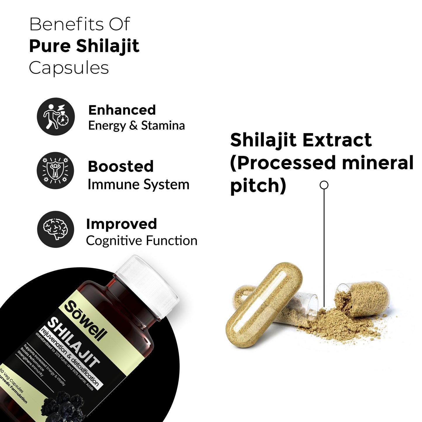 Shilajit Capsules