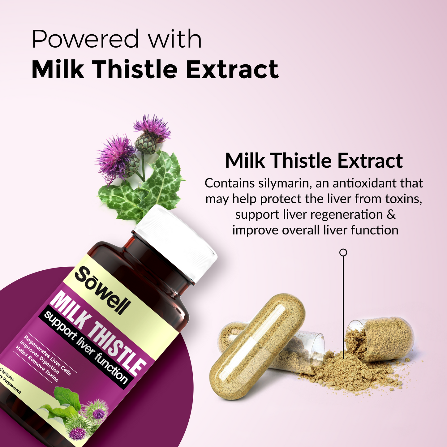 Milk Thistle Supplement