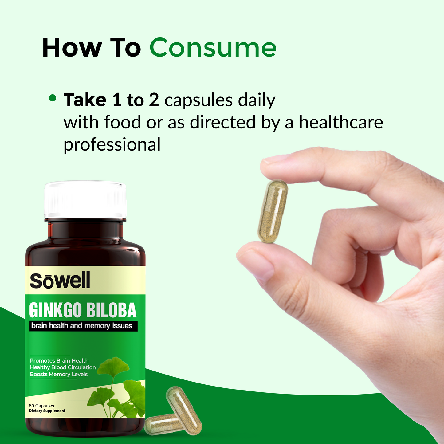 Ginkgo Biloba Supplement