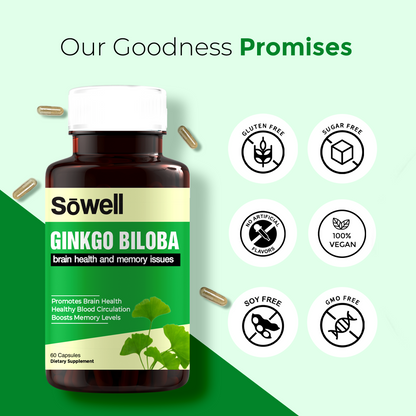 Ginkgo Biloba Supplement