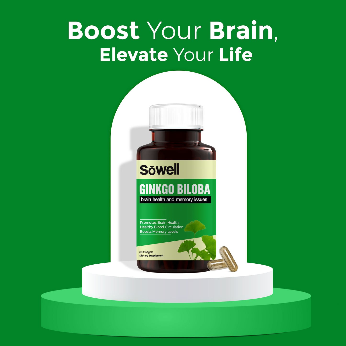 Ginkgo Biloba Supplement