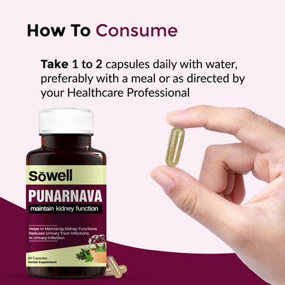 Punarnava Capsules