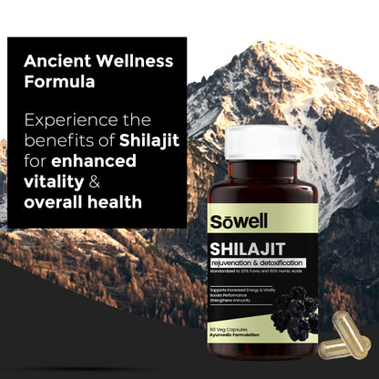 Shilajit Capsules
