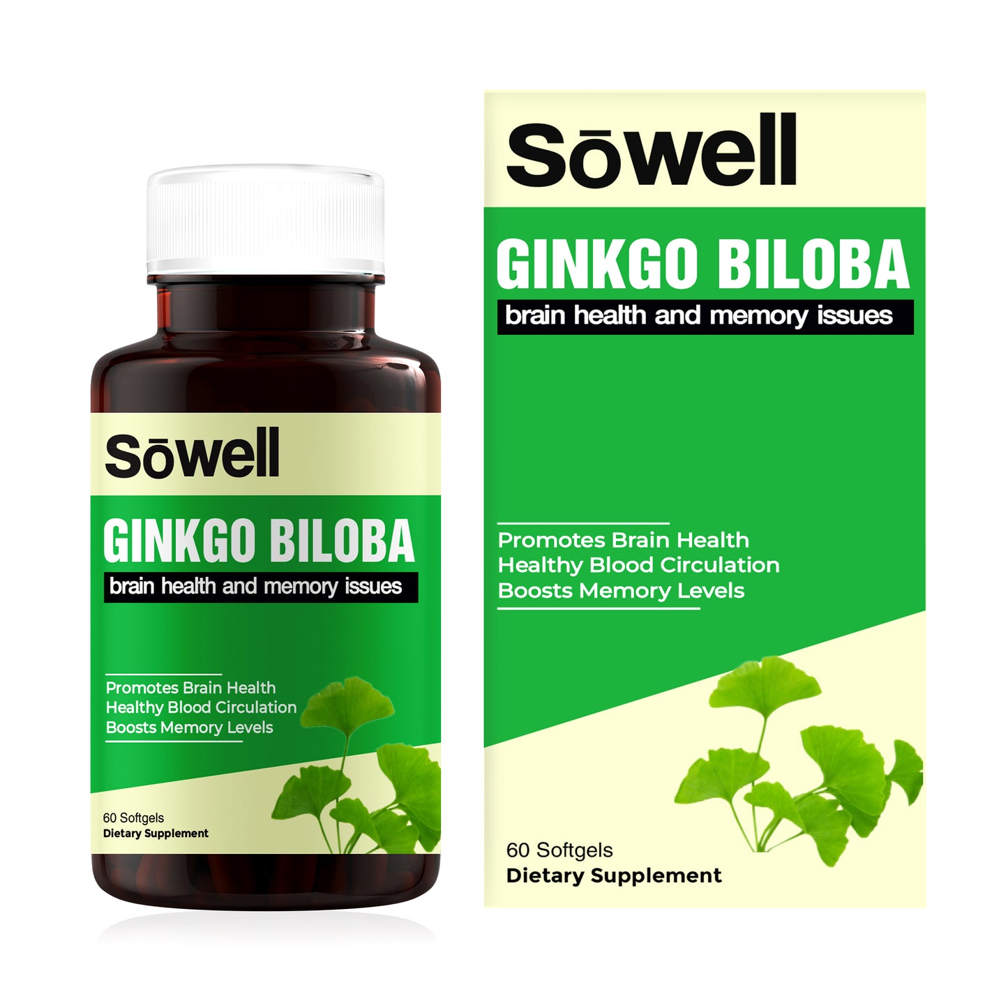 Ginkgo Biloba Supplement